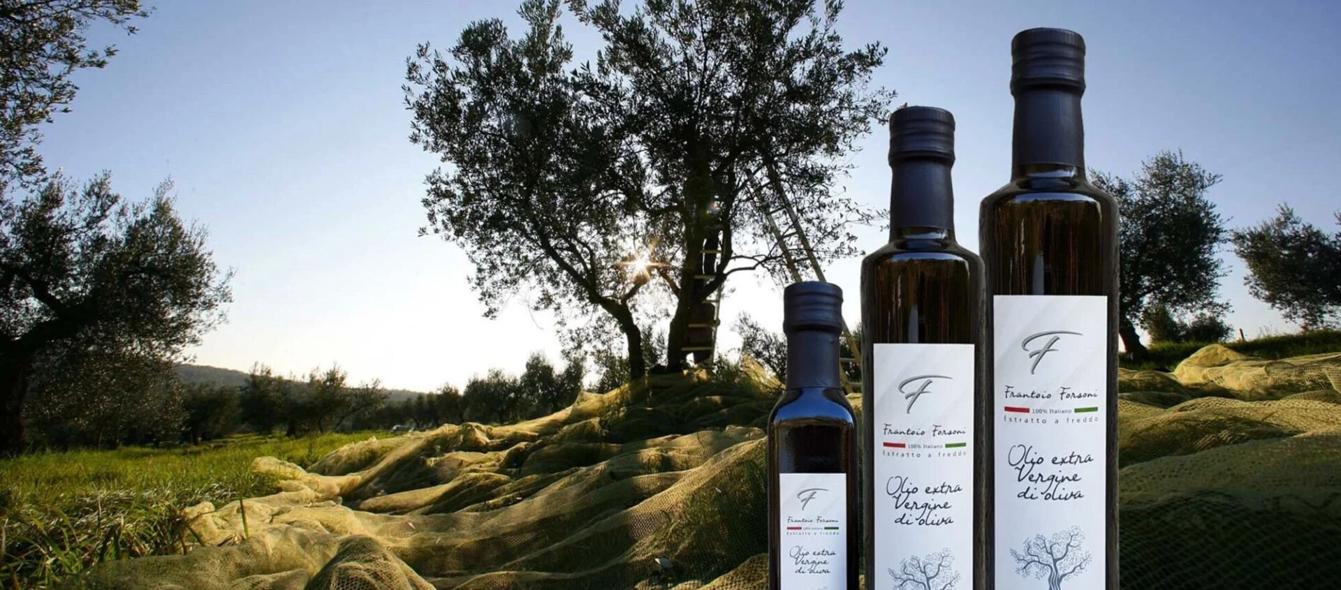 slide-olio-oliva